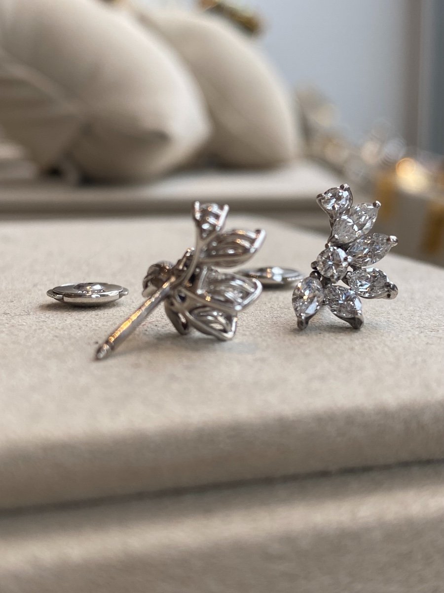 Boucles d'Oreilles Jetée De Diamants