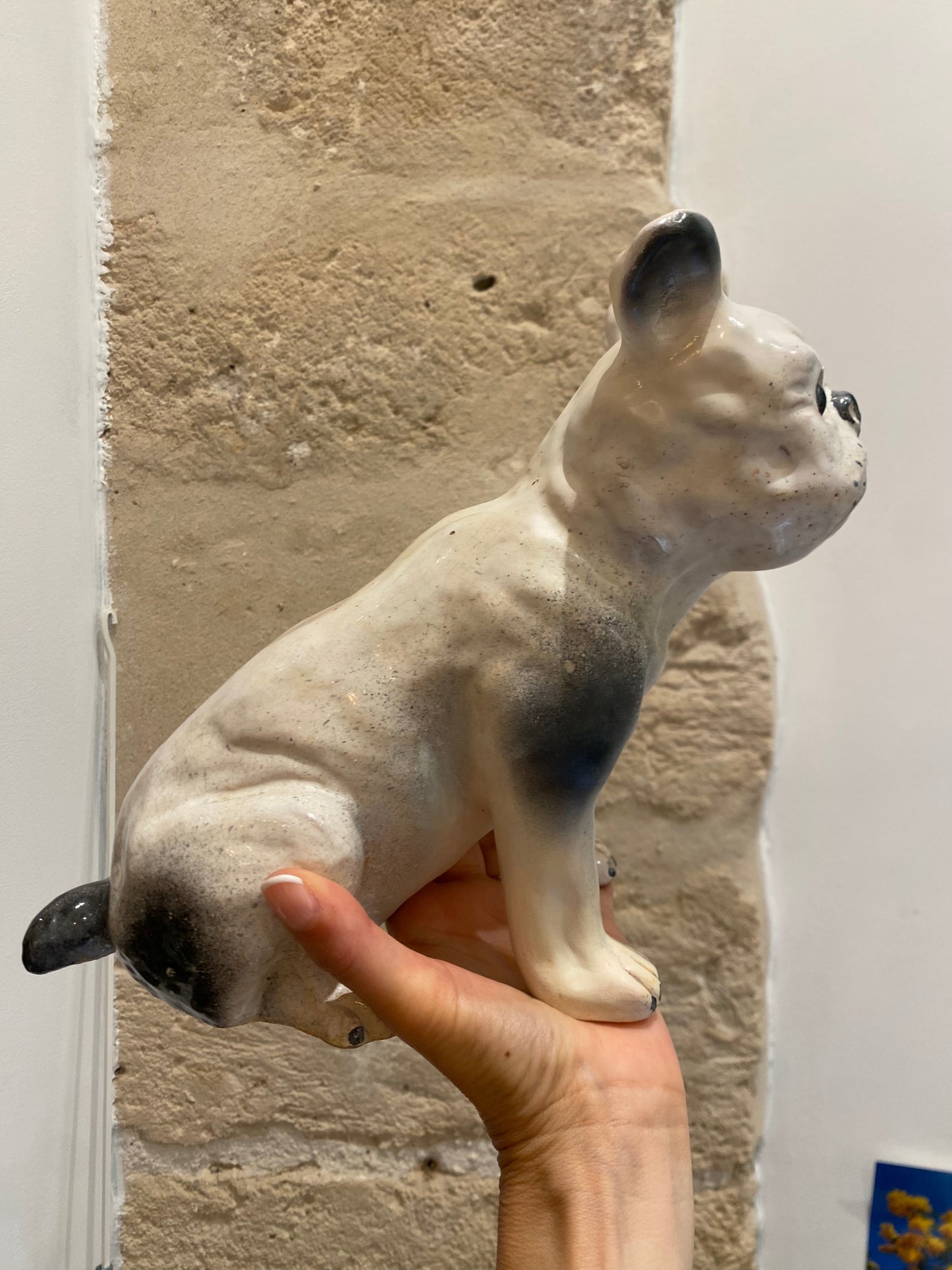 BAVENT, BOULEDOGUE FRANCAIS